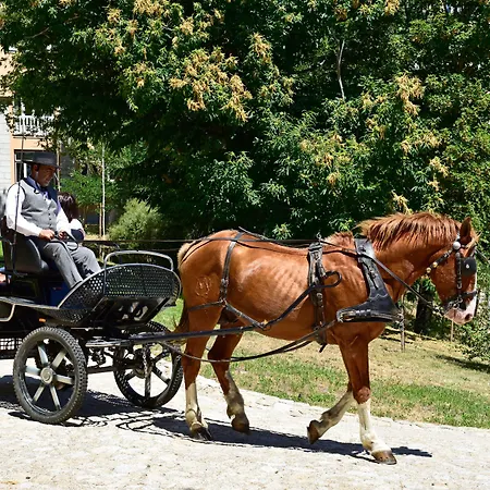 Da Serra Da Estrela Hotel Covilhã
