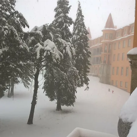 Da Serra Da Estrela 4*