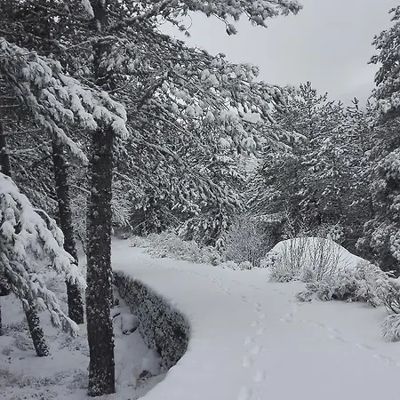 Da Serra Da Estrela 4*