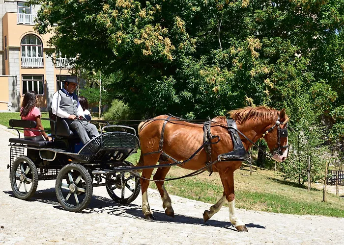 Da Serra Da Estrela Hotel Covilhã