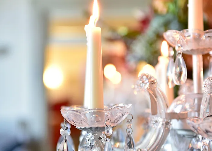 Da Serra Da Estrela Covilhã